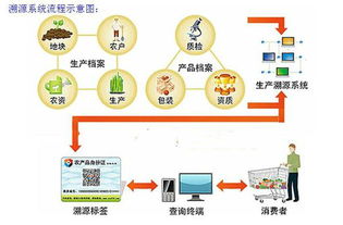 定制开发种子产品二维码追溯系统